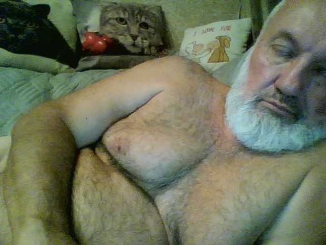Romad70ramzes
