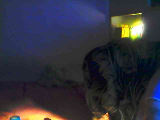 Zigibizigix webcam