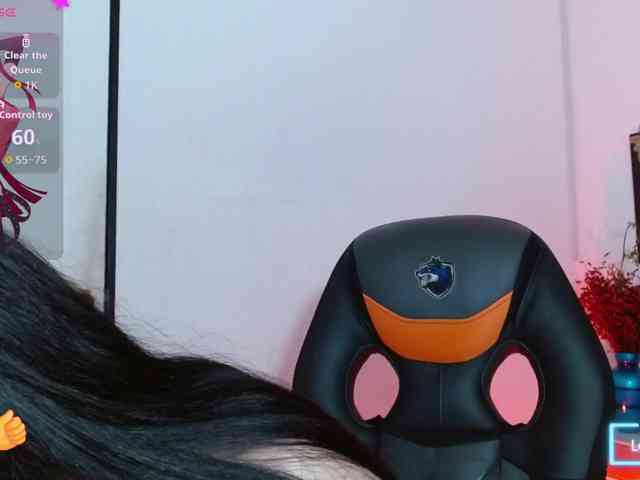 Aily-star webcam
