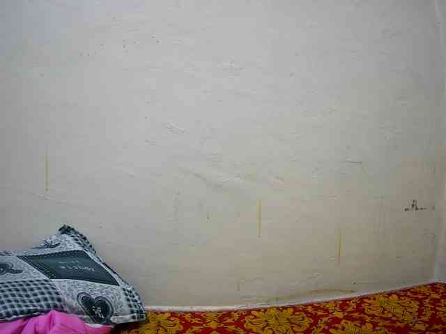 creamy-squirter webcam