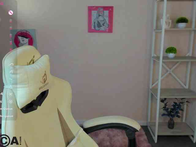 R0xy webcam