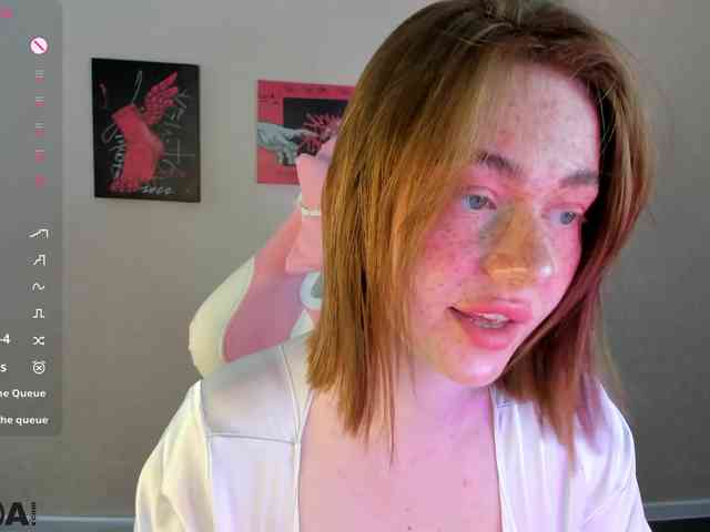 R0xy webcam