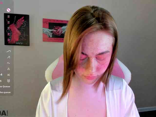 R0xy webcam