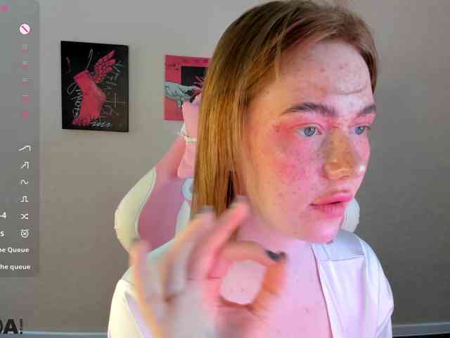 R0xy webcam