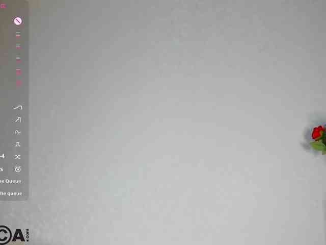 R0xy webcam