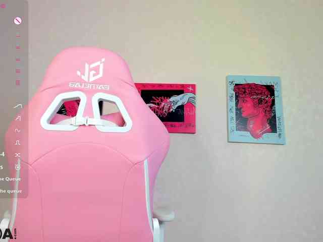 R0xy webcam