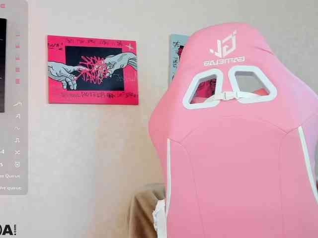 R0xy webcam