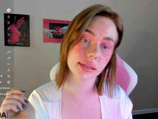 R0xy webcam