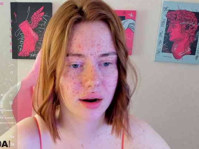 R0xy webcam