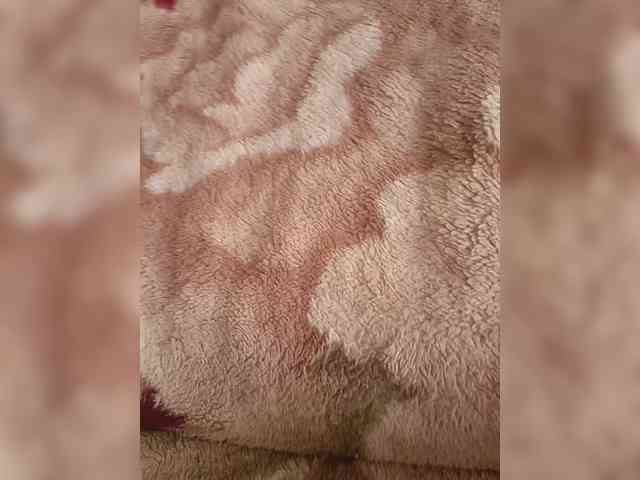 adult roleplay chat Ekatepina23411