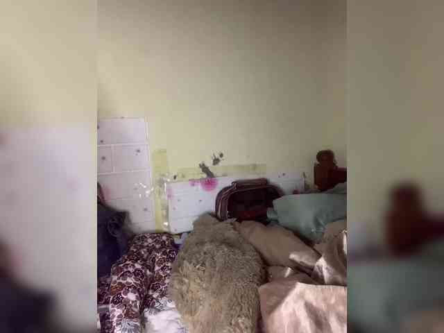 Daisy119 webcam