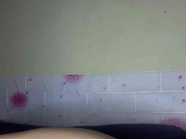 Daisy119 webcam
