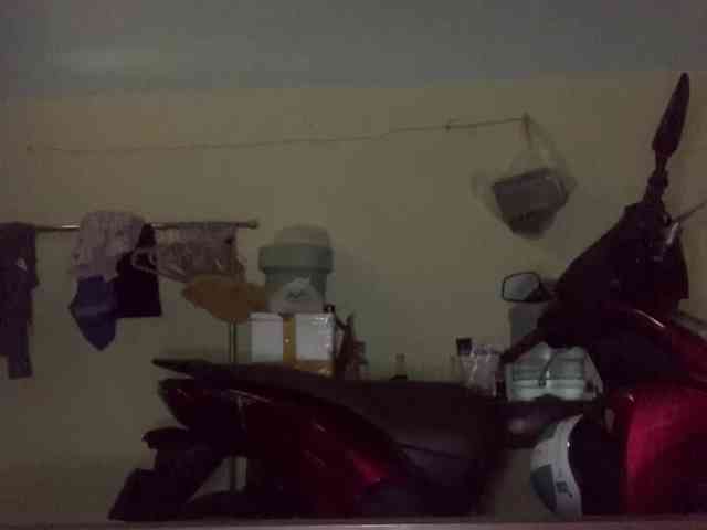 Daisy119 webcam