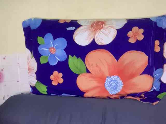 Daisy119 webcam