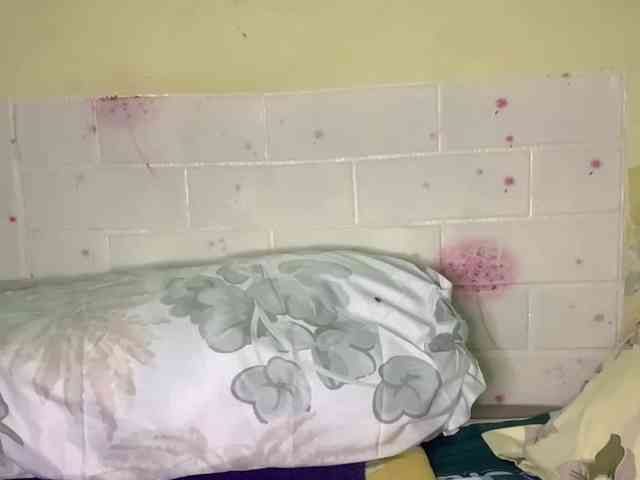 Daisy119 webcam