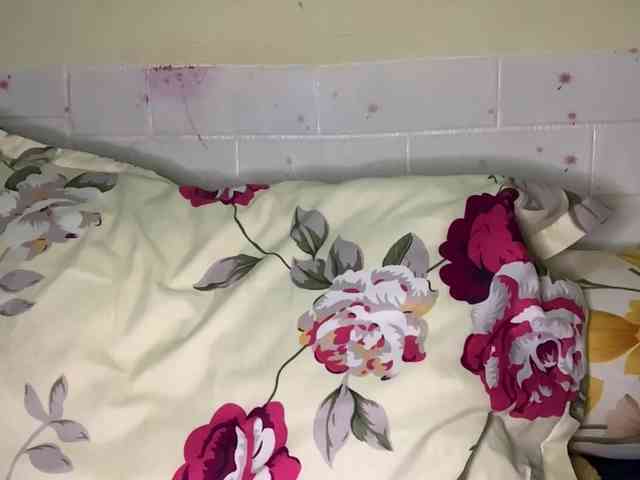 Daisy119 webcam