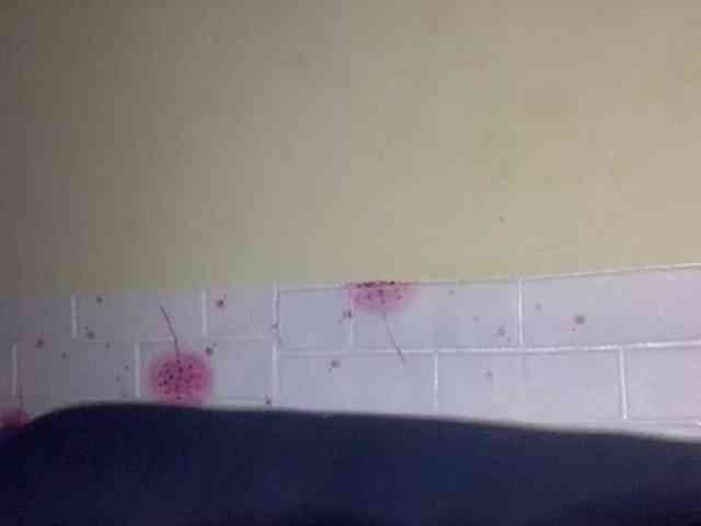 Daisy119 webcam
