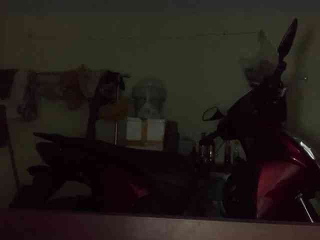 Daisy119 webcam