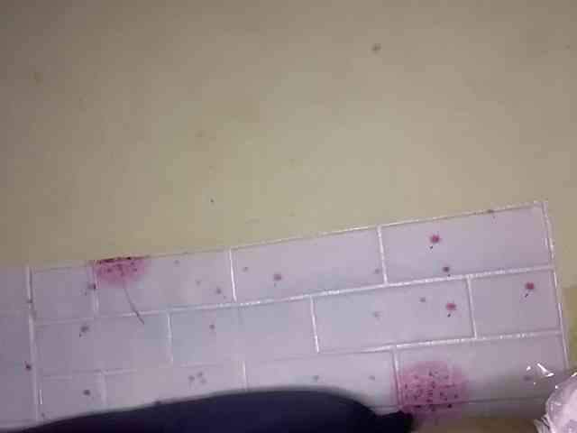 Daisy119 webcam