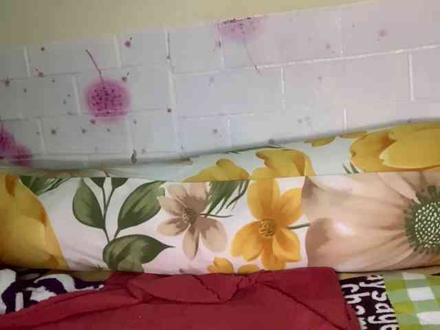 Daisy119 webcam