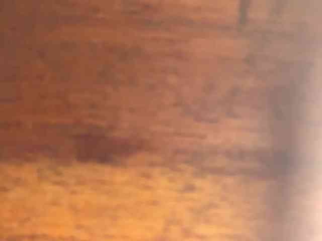 Daisy119 webcam