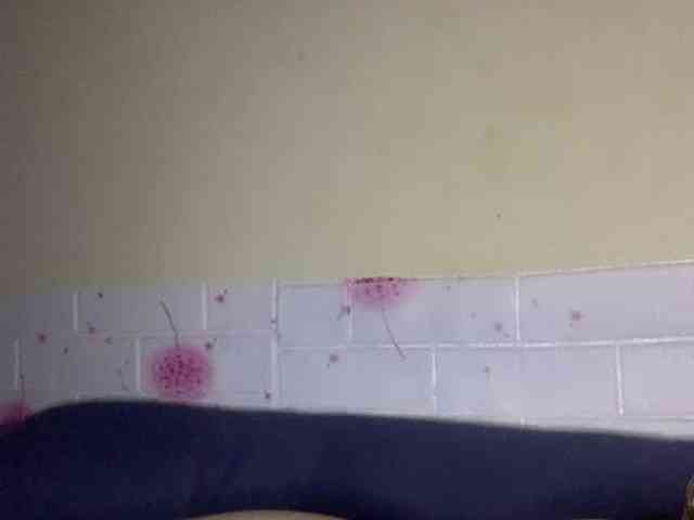 Daisy119 webcam