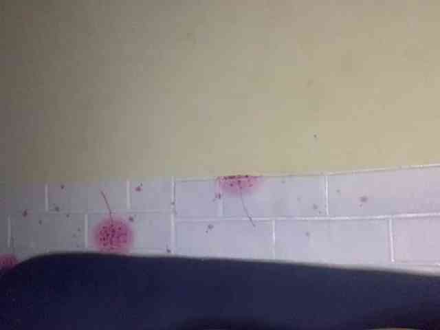 Daisy119 webcam