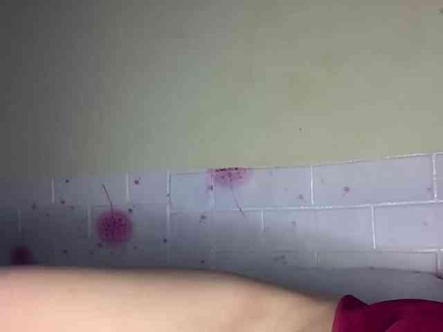 Daisy119 webcam