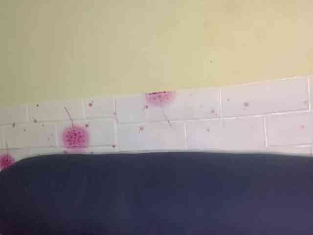 Daisy119 webcam