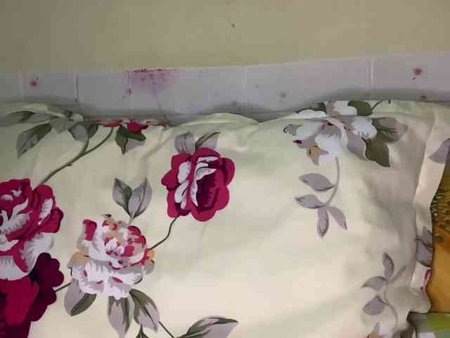 Daisy119