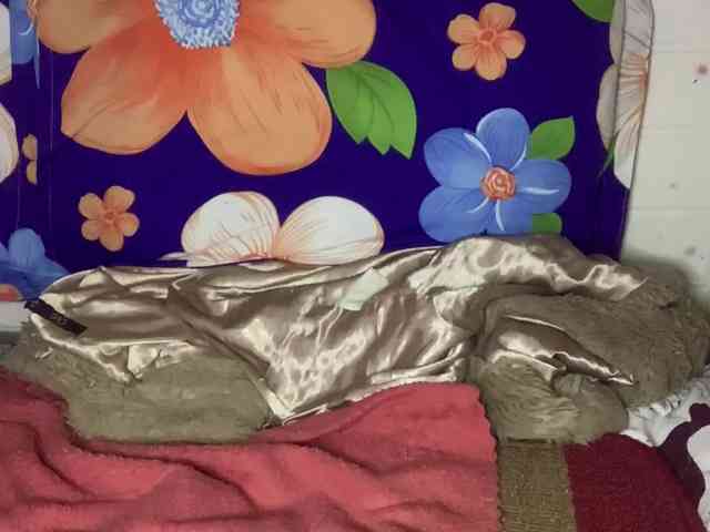 Daisy119 Live Webcam on BongaCams