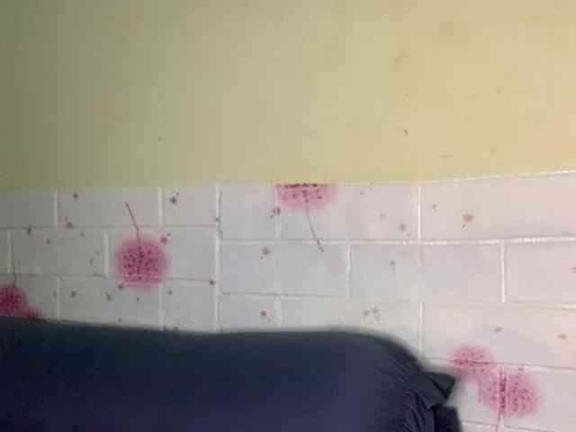 Daisy119 webcam