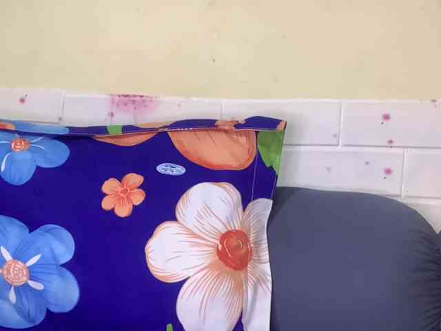 Daisy119 webcam