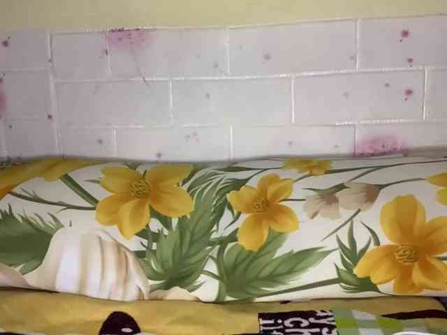 Daisy119 webcam