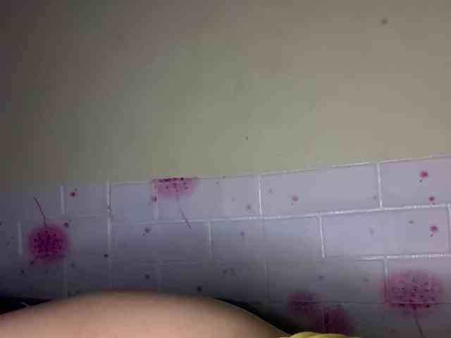 Daisy119 webcam
