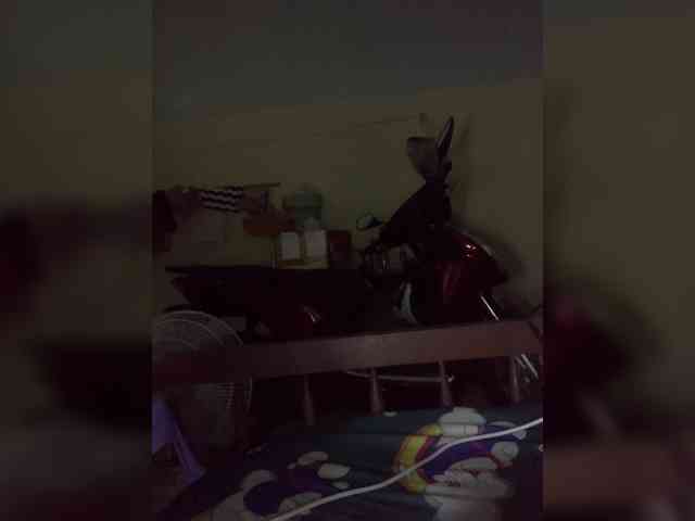 Daisy119 webcam