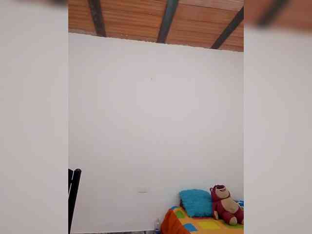 mayedan webcam