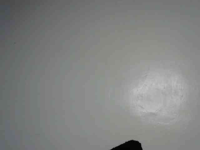 Модель: Sexxyblacky