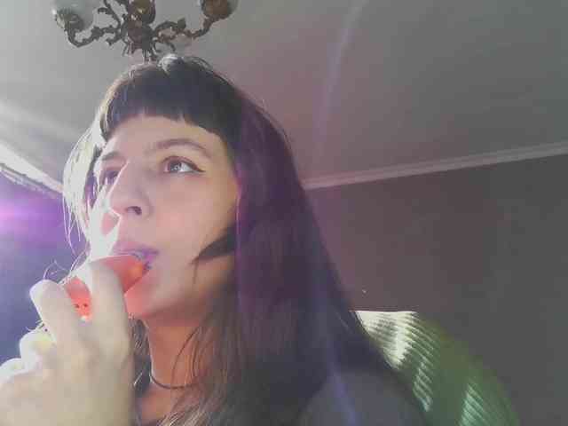 sosunator webcam