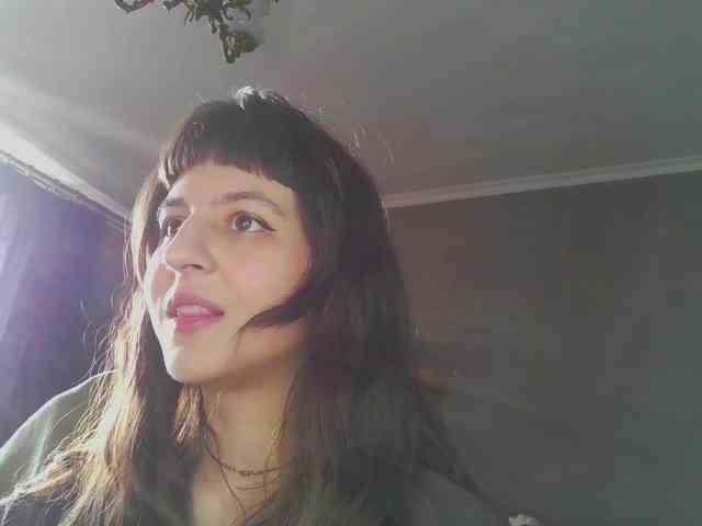 sosunator webcam
