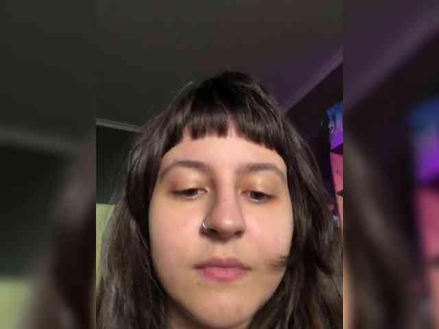 sosunator webcam