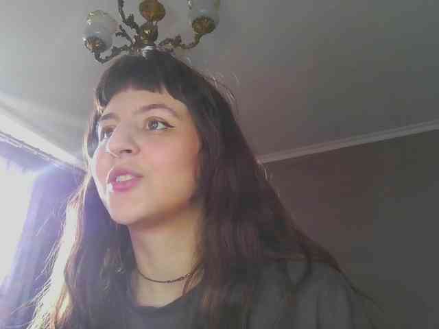 sosunator webcam