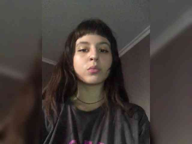 sosunator webcam