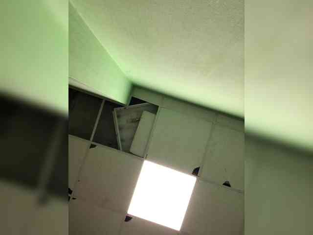 Dreamcore1050 webcam