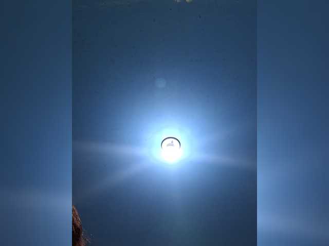 Elekttra-Cod's BongaCams show and profile