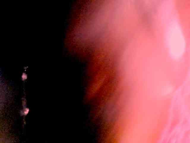 indianteal4u webcam
