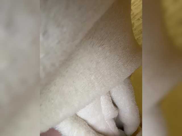 desorwss's BongaCams profile