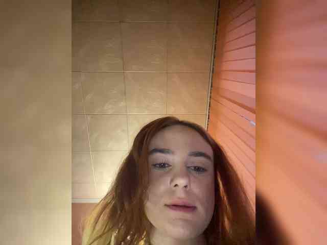 desorwss webcam