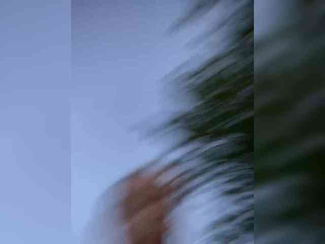 desorwss webcam