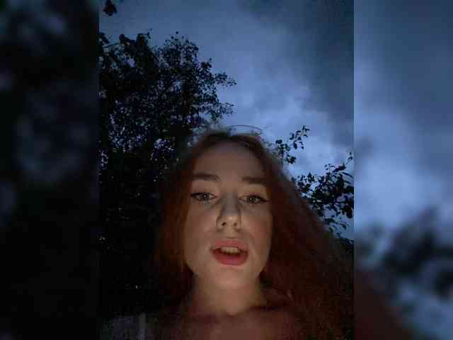desorwss webcam